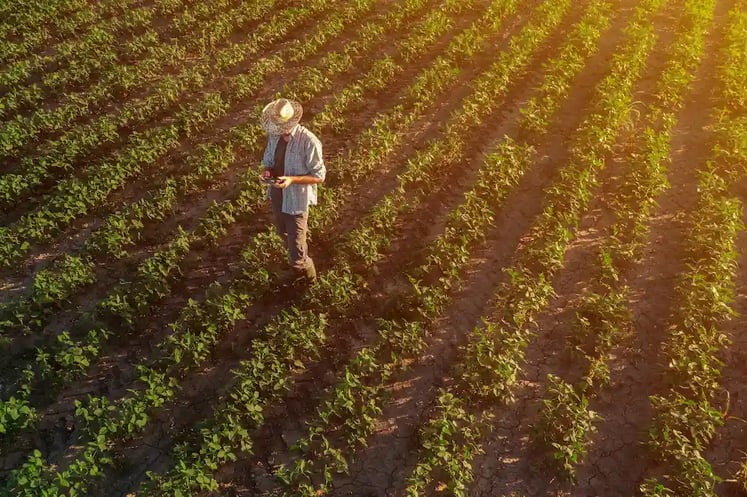 Agricultor controla o drone do controle remoto para avaliar o stand inicial da soja - Climate FieldView