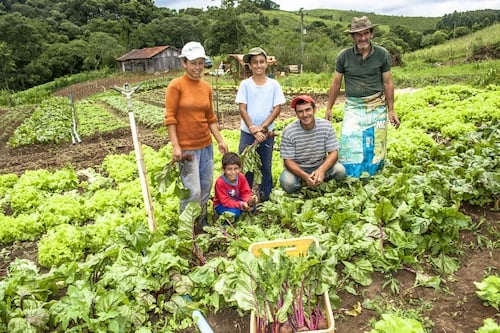 Familia reunida na plantação