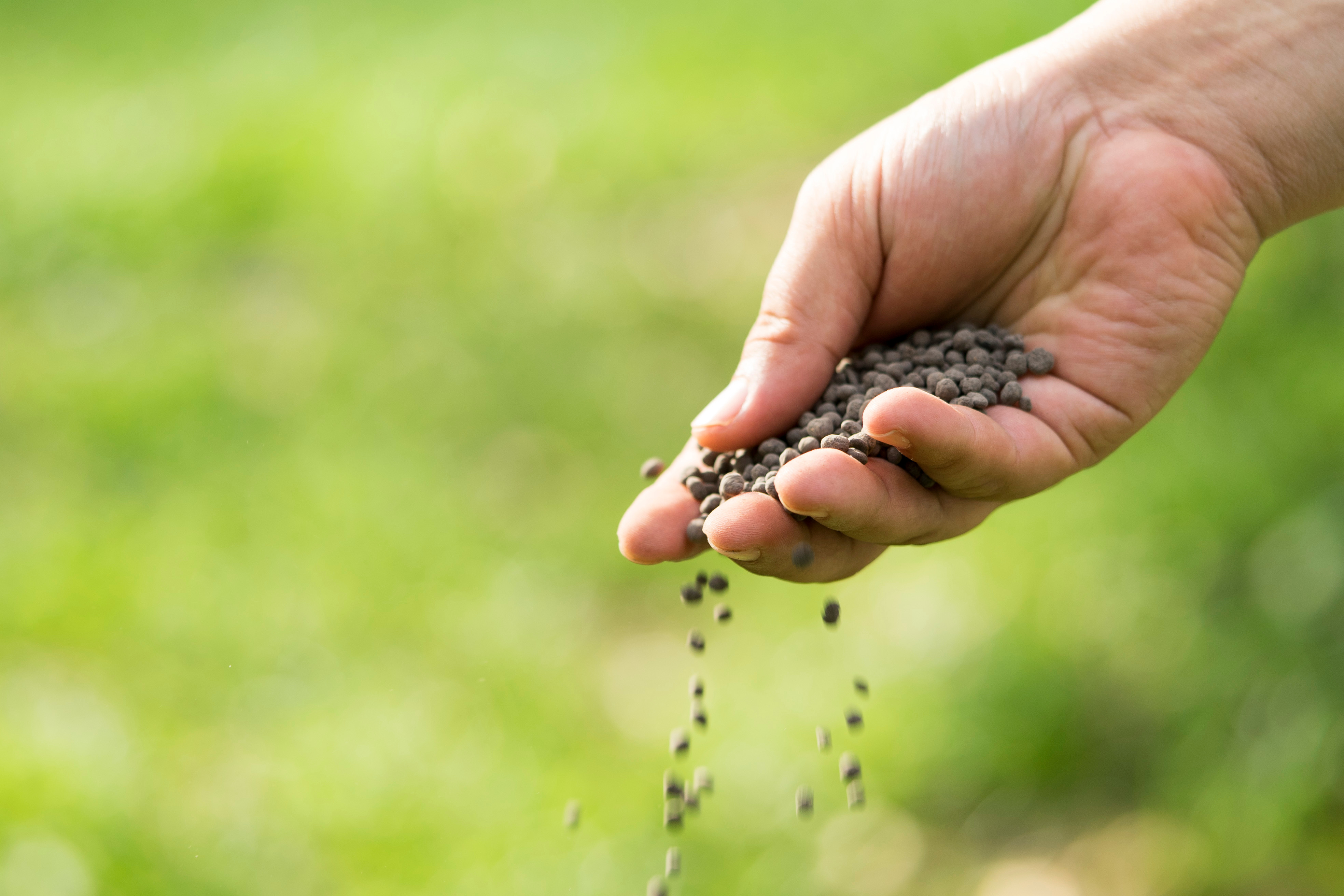 Aplicação de fertilizante na lavoura