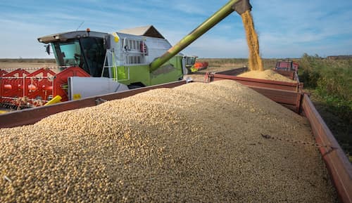 colheitadeira faz o descarregamento dos grãos no transbordo