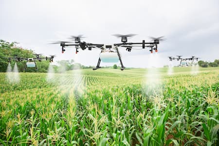 Drones aplicando defensivos na lavoura de milho
