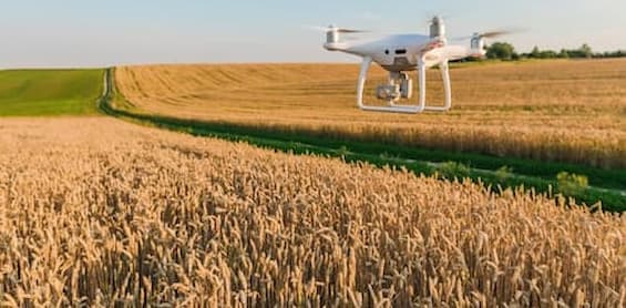 O uso de drones na agricultura já é regulamentado pelo Ministério da Agricultura