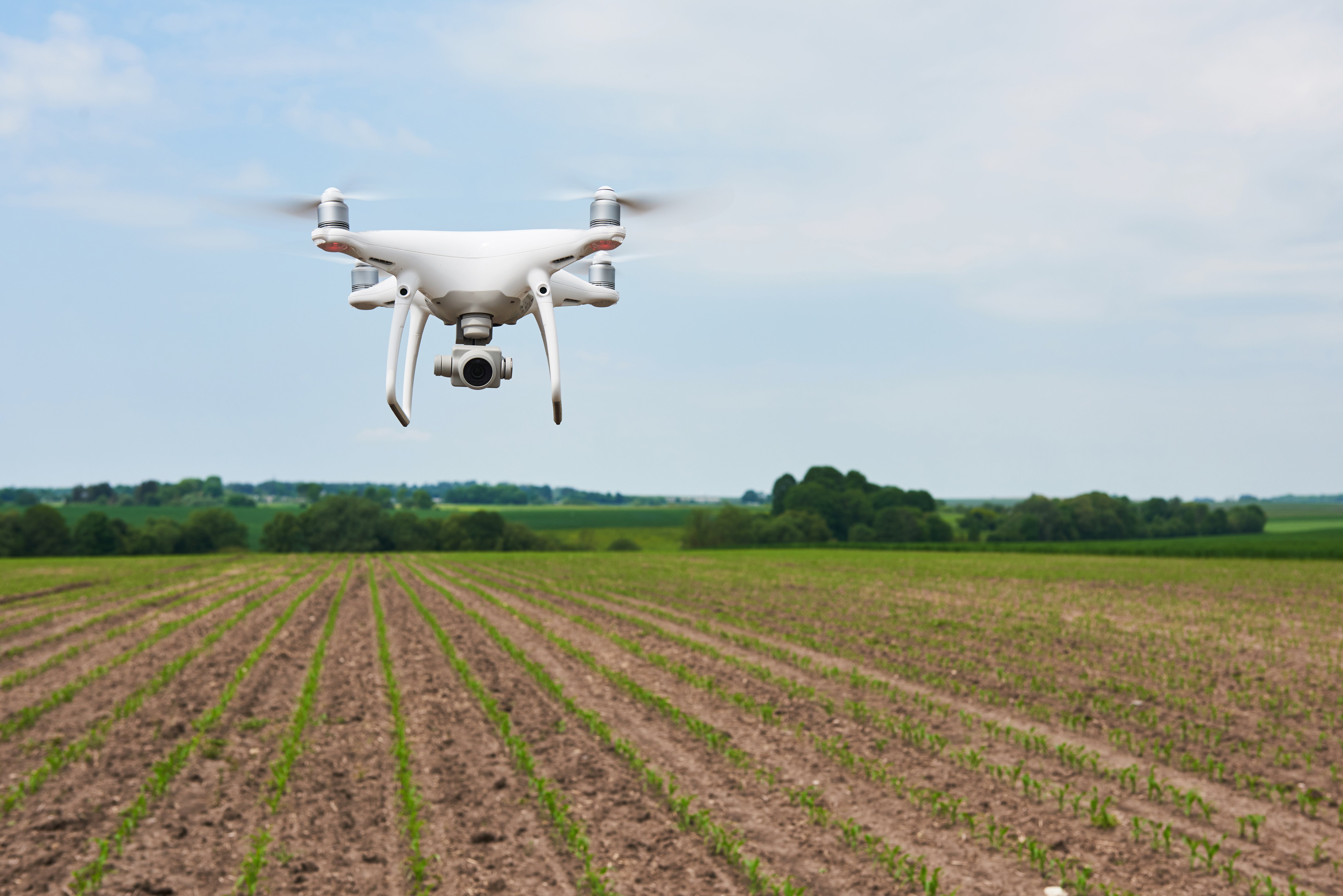 Drone sobrevoa e gera imagens da lavoura de milho pequena