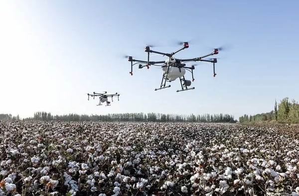 Drone sobrevoando a lavoura