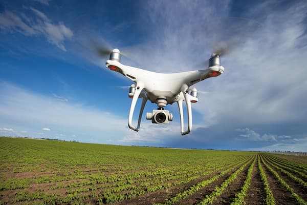 Drones podem ser usados para monitorar o desenvolvimento da cultura ao longo da safra