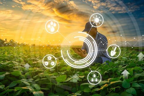 Agricultura digital é forte aliada na busca por exatidão de dados