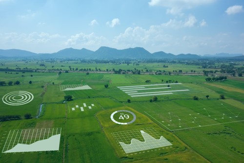 Campo aberto com o monitoramento gráfico através da tecnologia 4.0 na agricultura brasileira