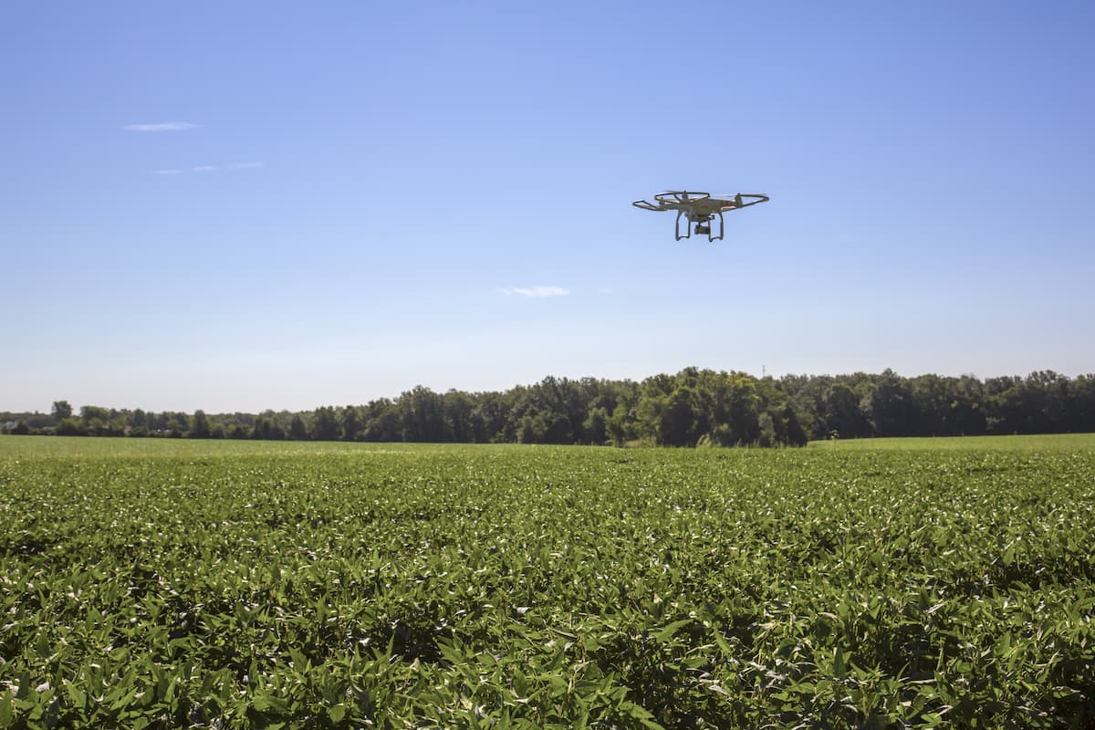 Drone monitora lavoura de soja.