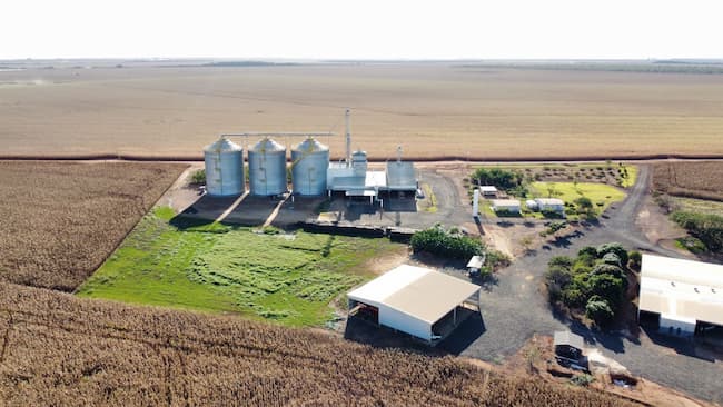 Fazenda de Lia Katzer, em Jataí, Goiás