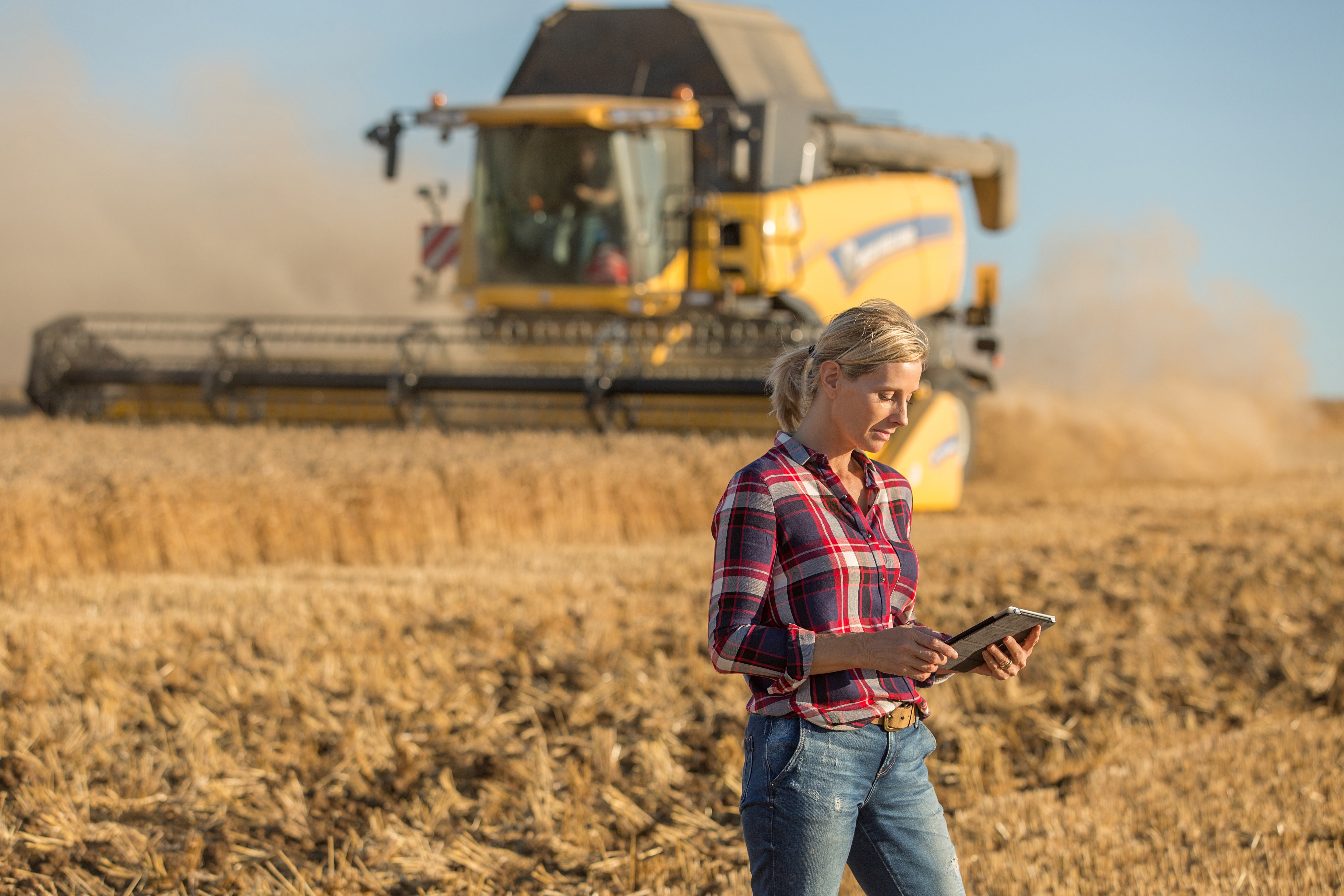 Mulher acompanha os dados da colheita de trigo.