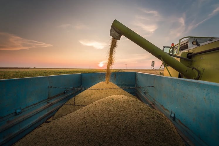 Colheitadeira colocando produção de soja no caminhão - Climate FieldView