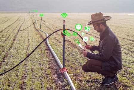 Produtor acessa dados pelo tablet para programar a irrigação da lavoura