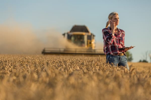 Produtora rural acompanha a colheita