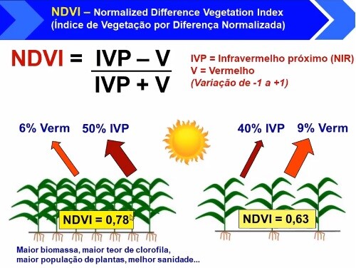 Sistema mostra como é feito o cálculo do ndvi