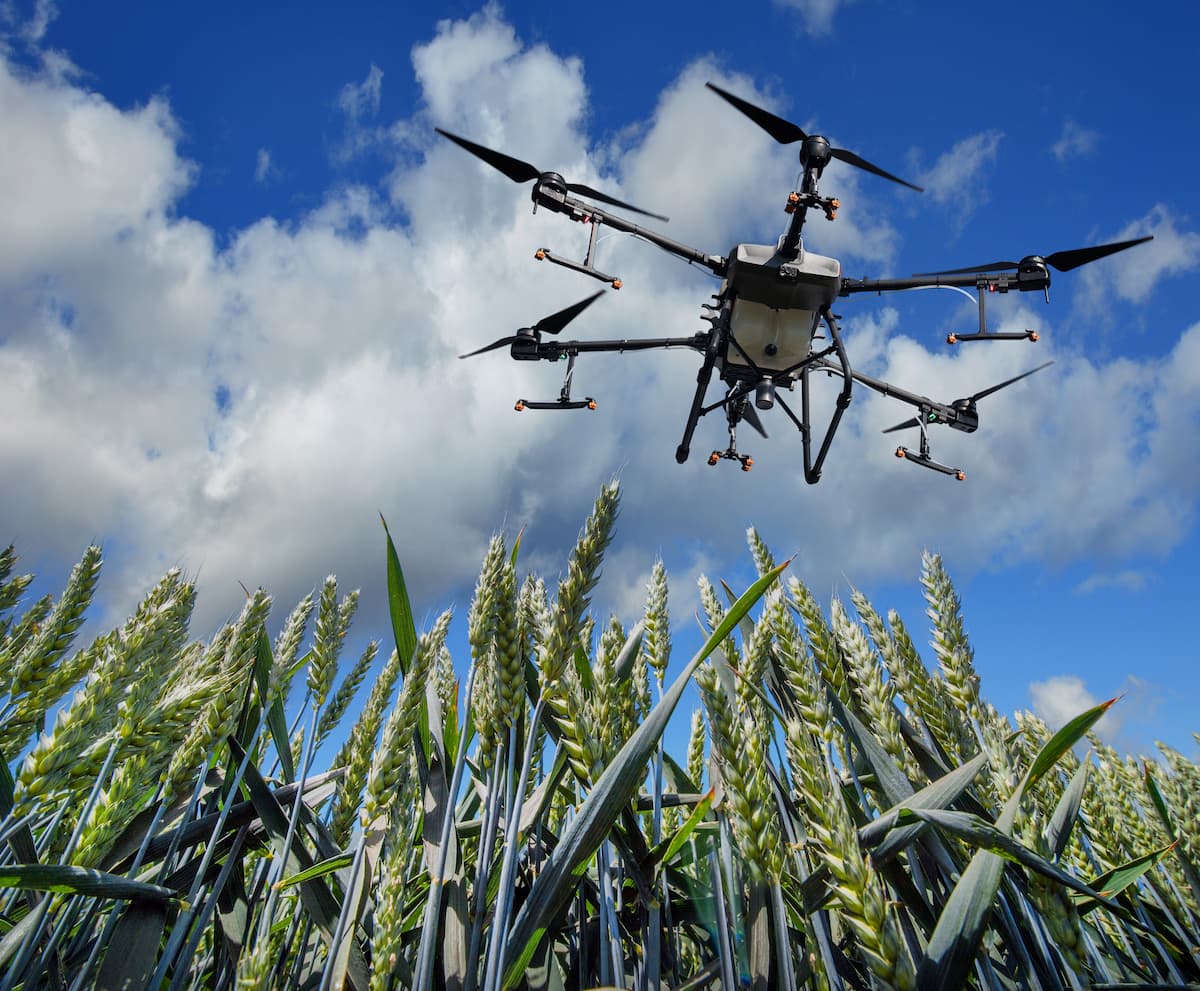 Um drone passando em cima da plantação