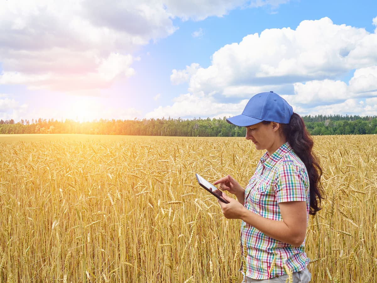 Uma produtora agrícola olhando seu tablet 