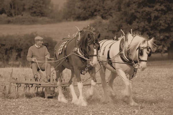 Arado puxado a cavalo