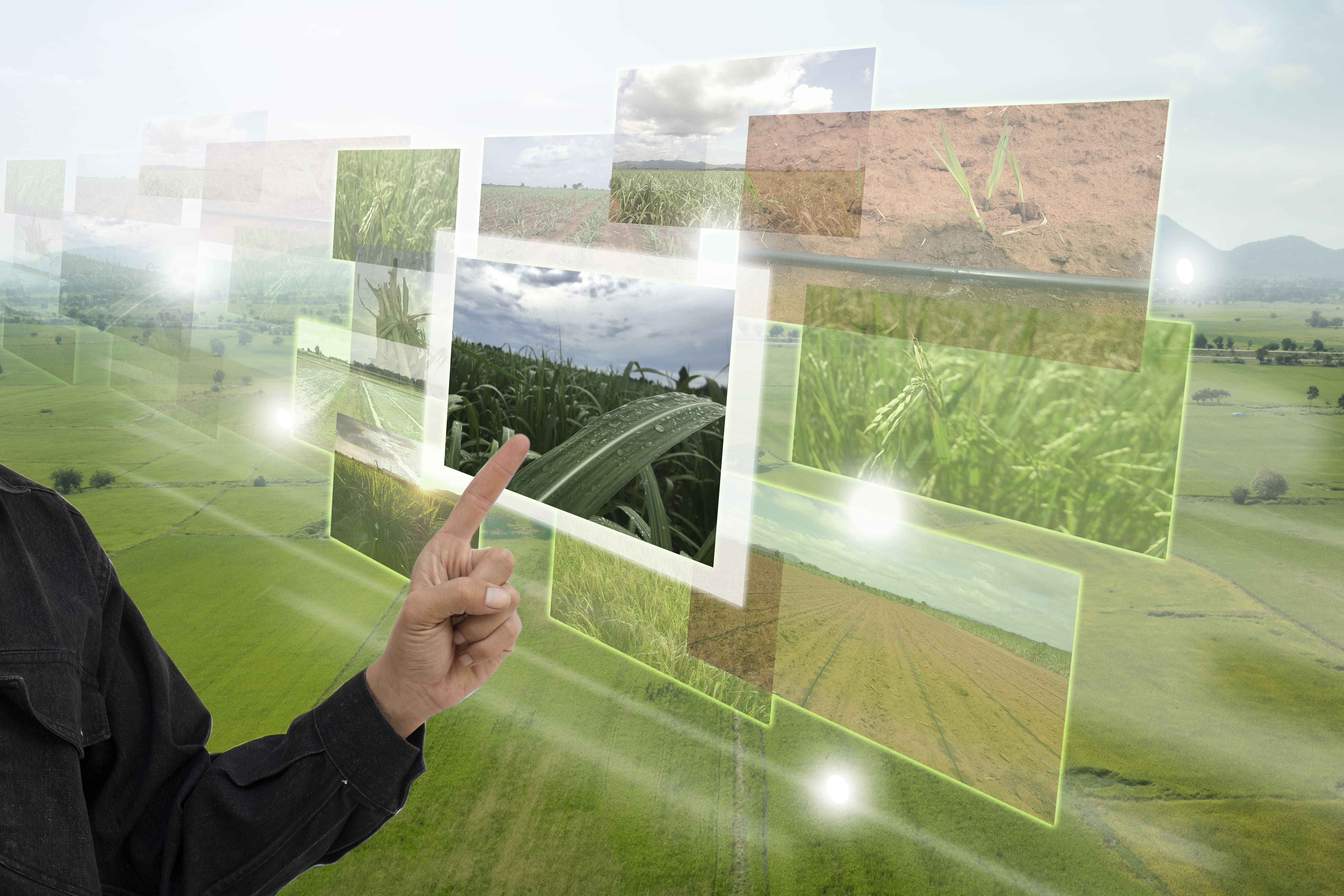 business-intelligence-no-agronegocio (4)