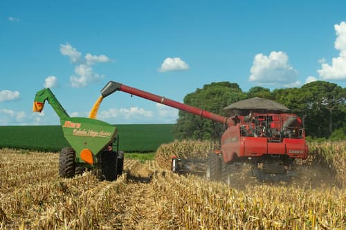 Máquina realiza a colheita do milho safrinha