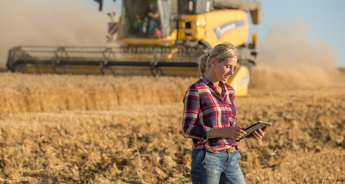 Agricultora acompanha dados da colheita de trigo.