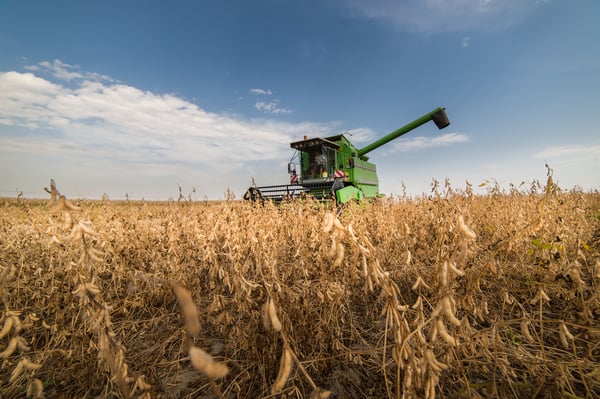 colheita de soja contribui para o PIB do Brasil