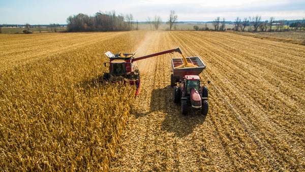 Colheita DE milho nos EUA