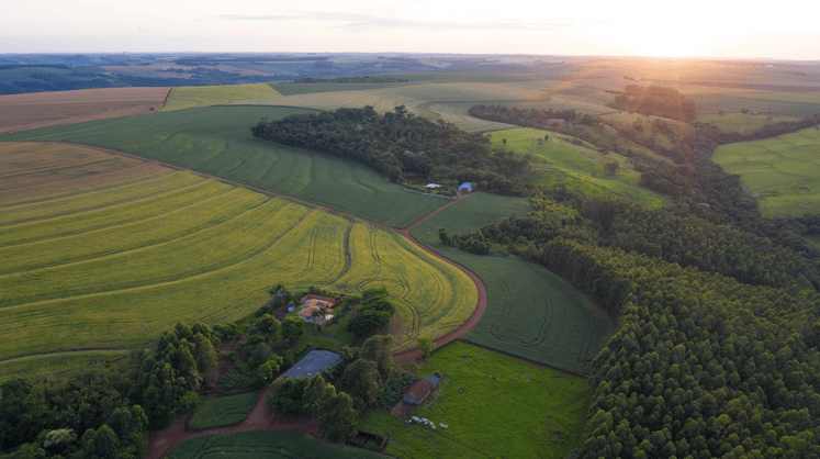 Otimização de recursos na agricultura