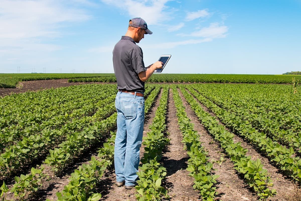 Um produtor agricola em sua plantação com um tablet na mão, analisando através dele sua terra.