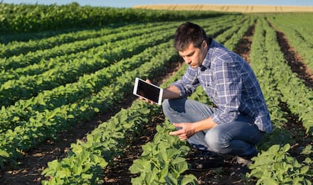 jovem agricultor acompanha a lavoura de soja com apoio de dados acessados pelo tablet