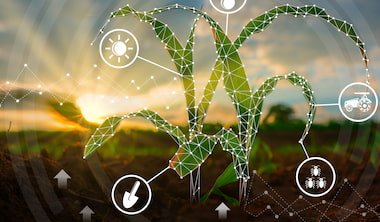 algoritmos na agricultura processam dados que são gerados no campo