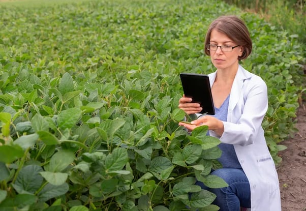Mulher na agricultura com tablet na plantação