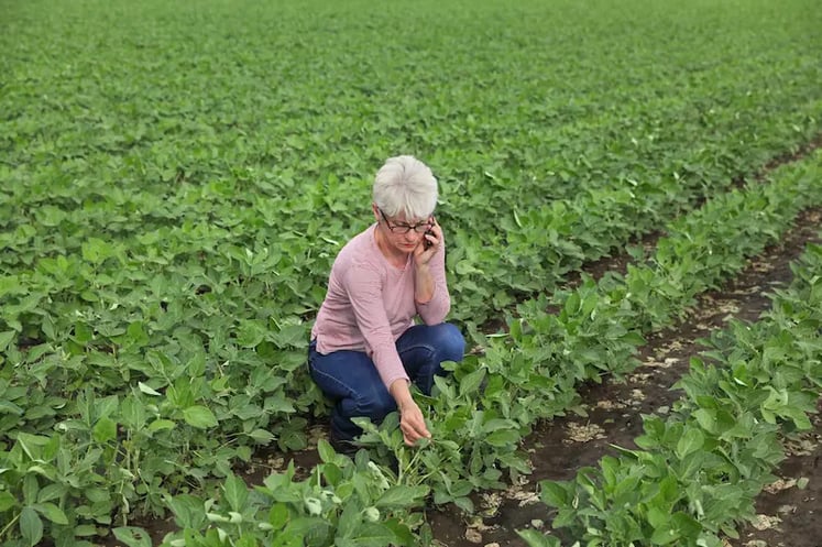 Mulher no agronegócio e na agricultura digital - Climate FieldView