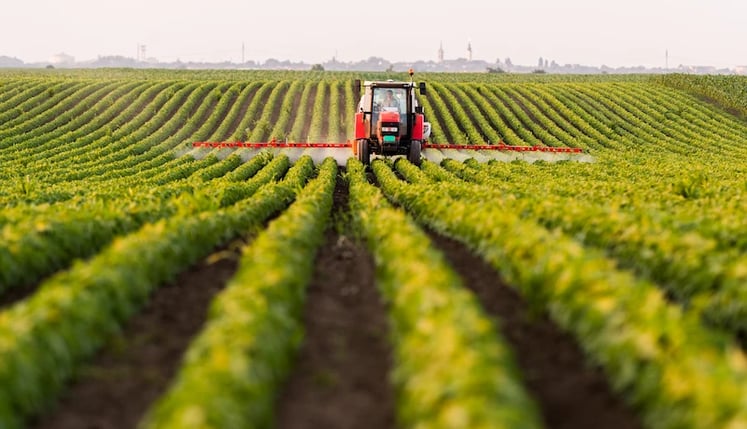 Aplicação de inseticida em talhão de soja na agricultura moderna