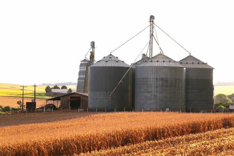 Construção de silos para grãos de milho