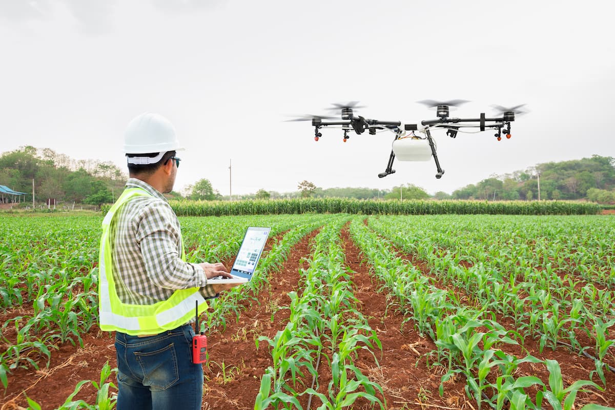 Homem, com um colete verde, opera um drone que voa por cima de uma lavoura.