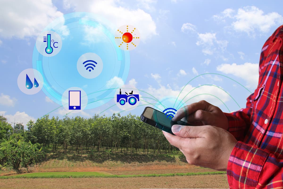 Homem com um celular na mão acessa dados de toda a fazenda, que são representados pro gráficos e miniaturas de trator, plantas, etc.