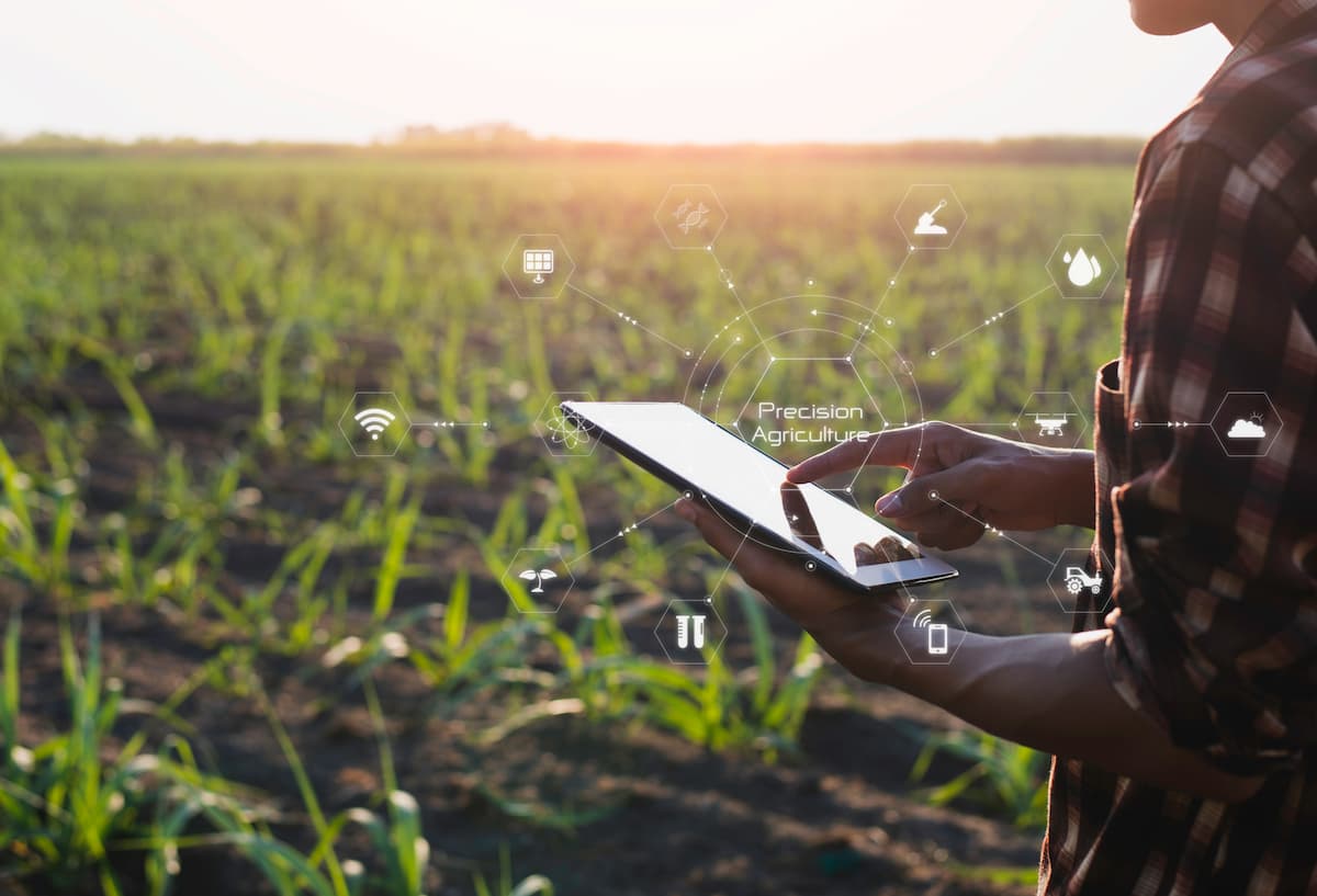 Um homem, com auxílio de um tablet, pratica o smart farming e analisa dados da lavoura.
