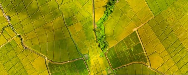 vista aérea de fazenda dividida em talhões