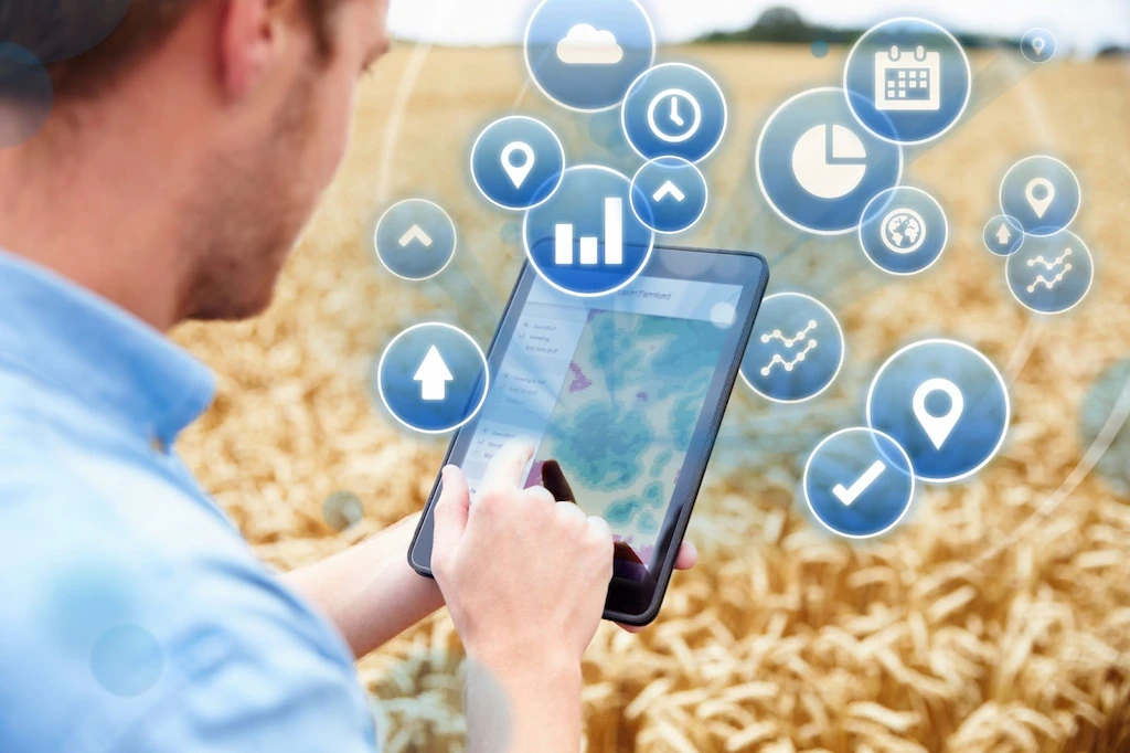 Agricultor acessa dados digitais para gerir a lavoura