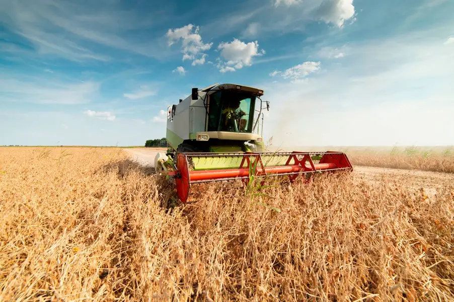 Agricultura Moderna Colheitadeira no campo de trigo Climate FieldView