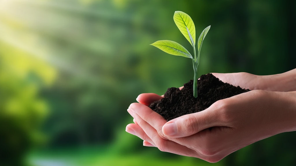 Mãos unidas segurando plantinha com terra simbolizando a agricultura sustentável da Climate FieldView
