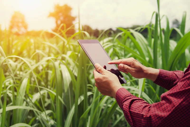 Mãos do produtor rural acessando o app de agricultura digital no tablet