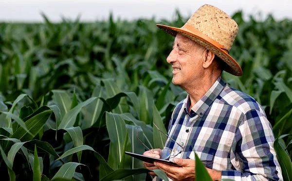 Produtor de milho na lavoura com chapéu utilizando o app para plantio