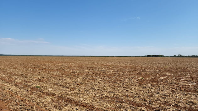 App ajuda a proteger lavouras de soja contra doenças