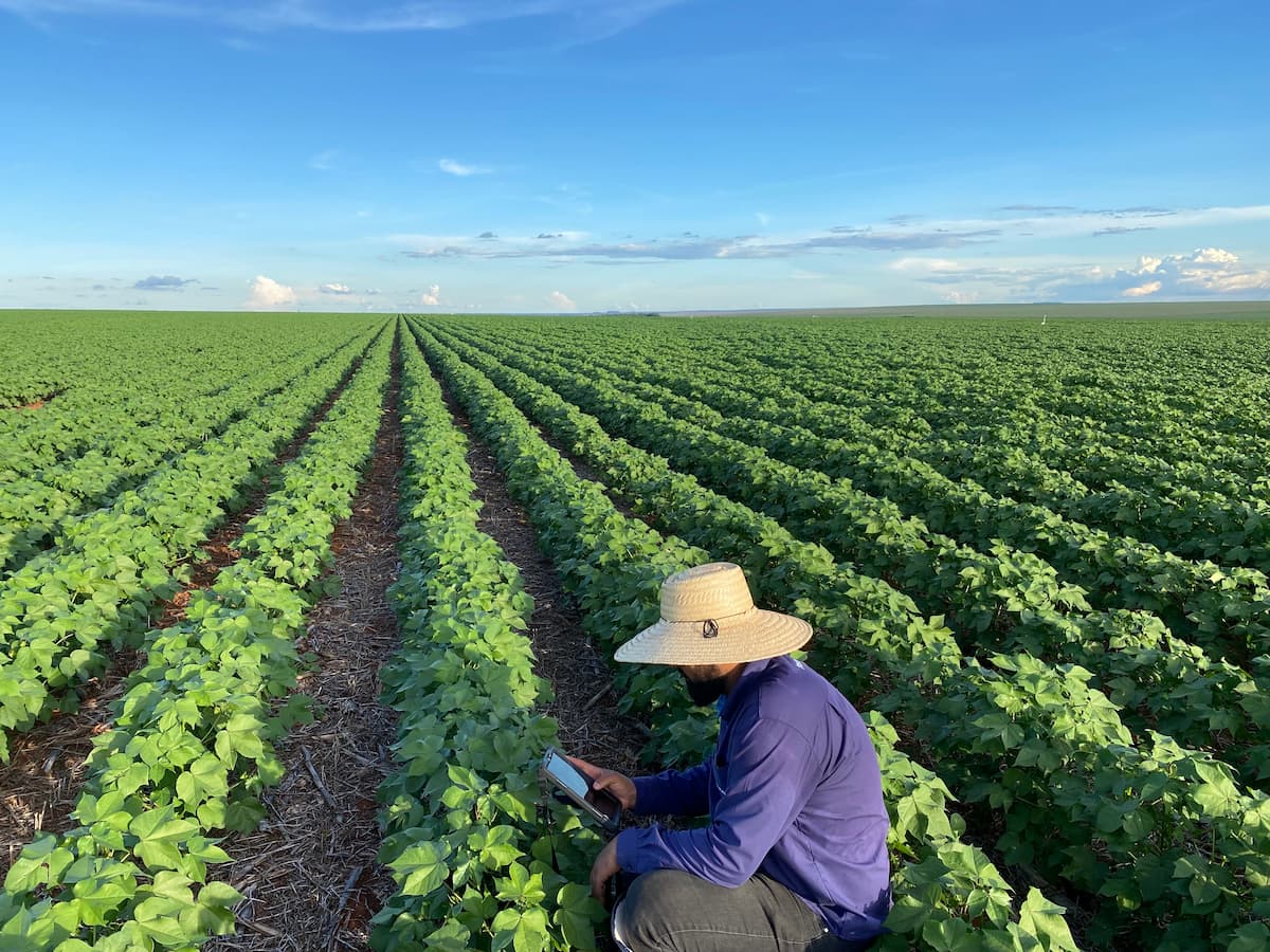 Um agricultor, buscando o aumento da produtivid