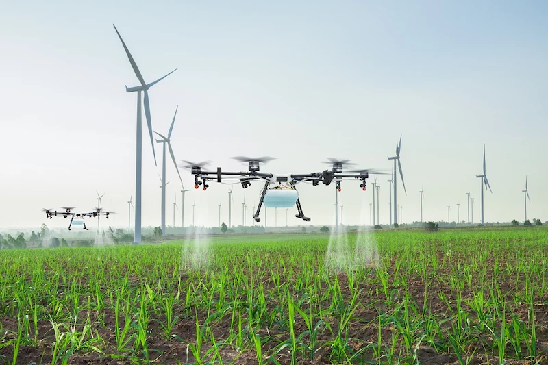 Drones na plantação de cana de açúcar aplicando herbicidas