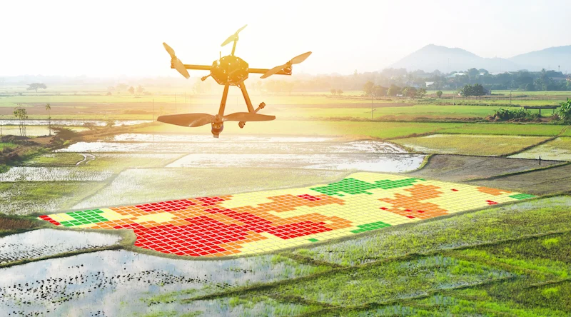 Imagem de drone monitorando a lavoura através da tecnologia 4.0 e agricultura de precisão