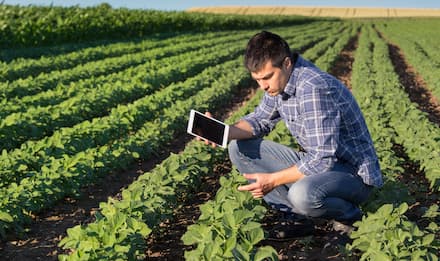 UM AGRICULTOR, BUSCANDO O AUMENTO DA PRODUTIVIDADE DE SUA