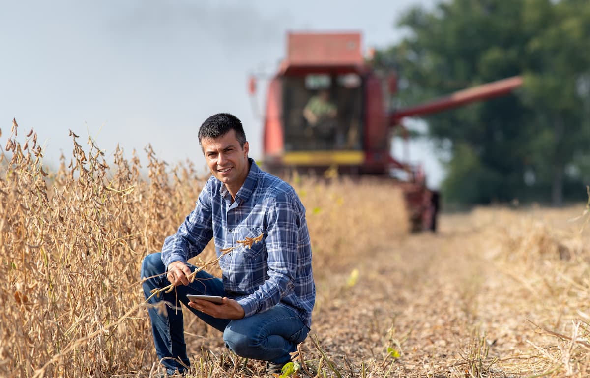 Qual a importância do mapeamento de colheita na agricultura?