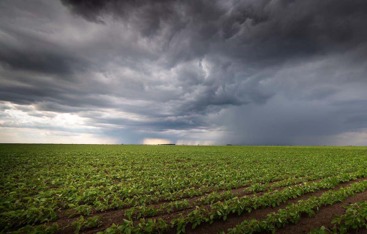 Maestría en Meteorología Agrícola